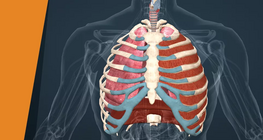 Πάρτε μια βαθιά ανάσα