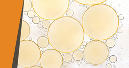 Λίπη που εξαφανίζονται