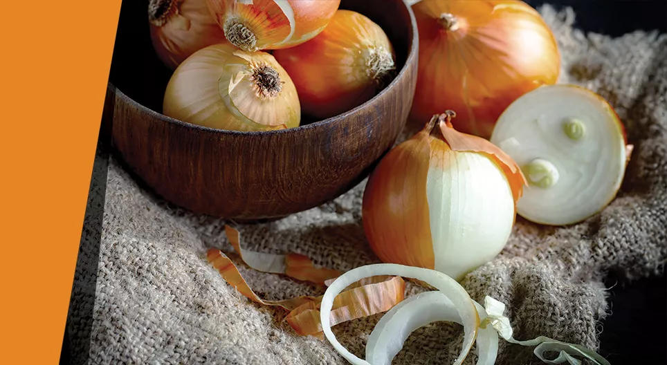 Κρυφοί κρύσταλλοι