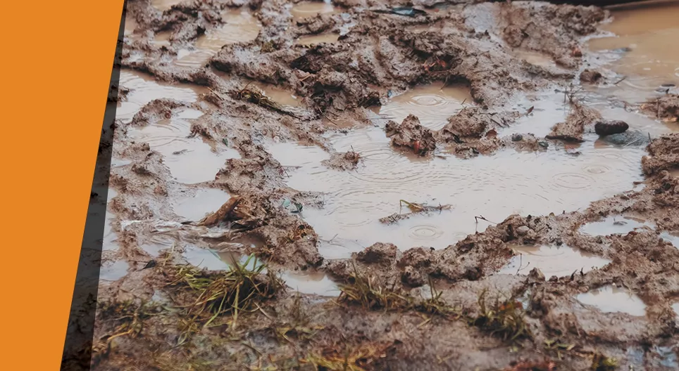 Αυτοσχέδια συσκευή απολύμανσης νερού