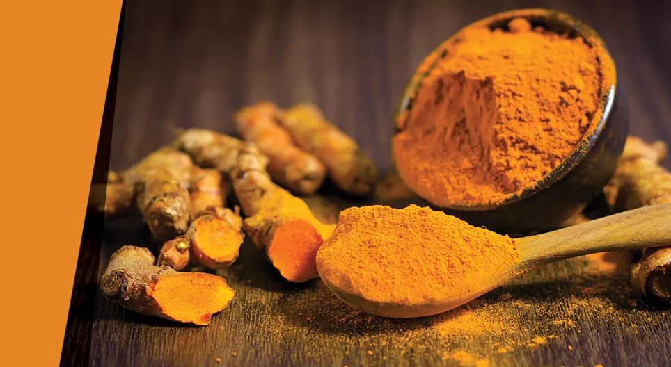 Ντροπαλή μπογιά