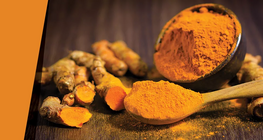 Ντροπαλή μπογιά