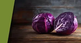 Разноцветная краснокочанная капуста