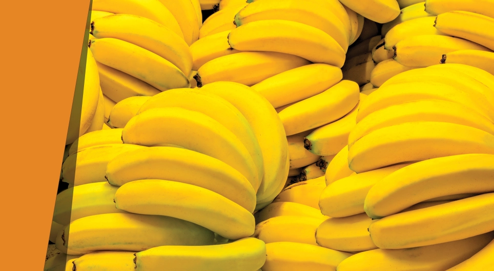 Niebieski banan