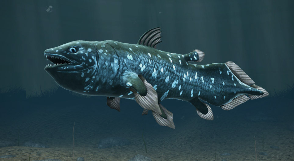 Latimeria (ryba)