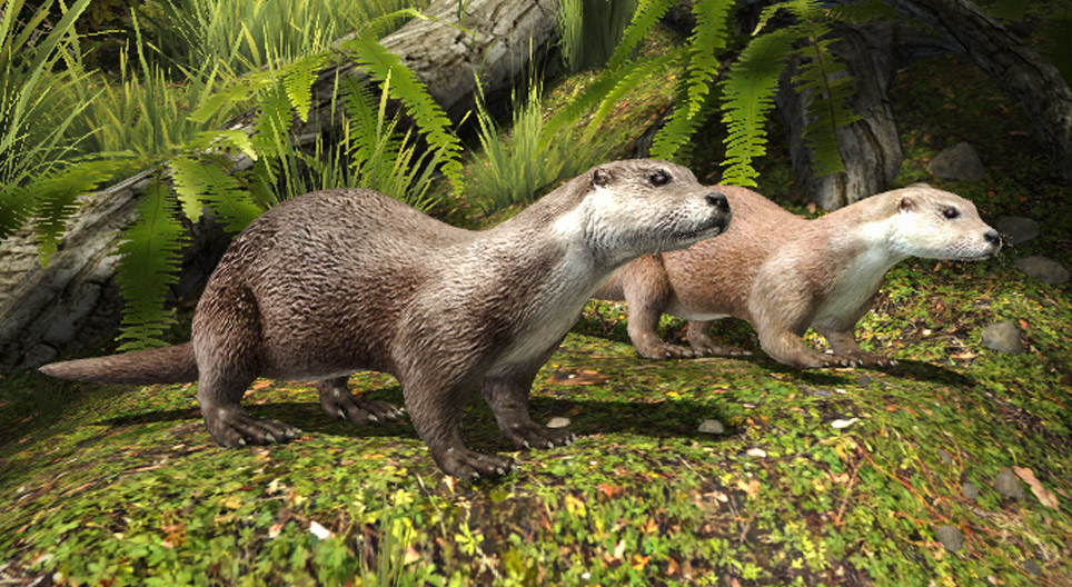 Wydra europejska
