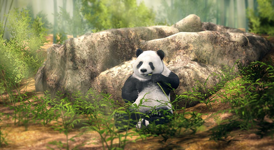 Panda wielka