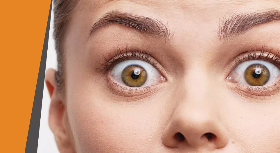 No creas a tus ojos