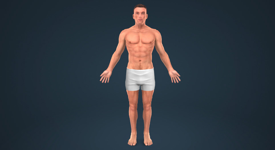 As partes do corpo