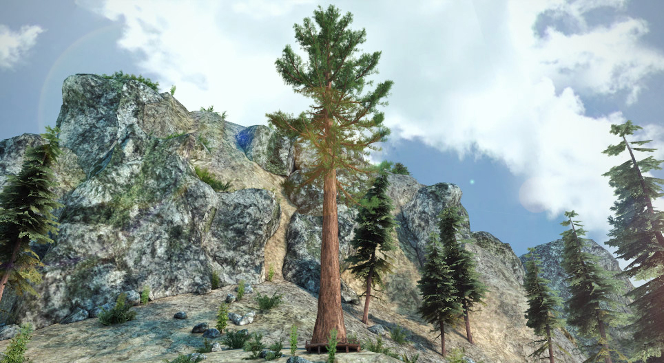 Гигантская секвойя