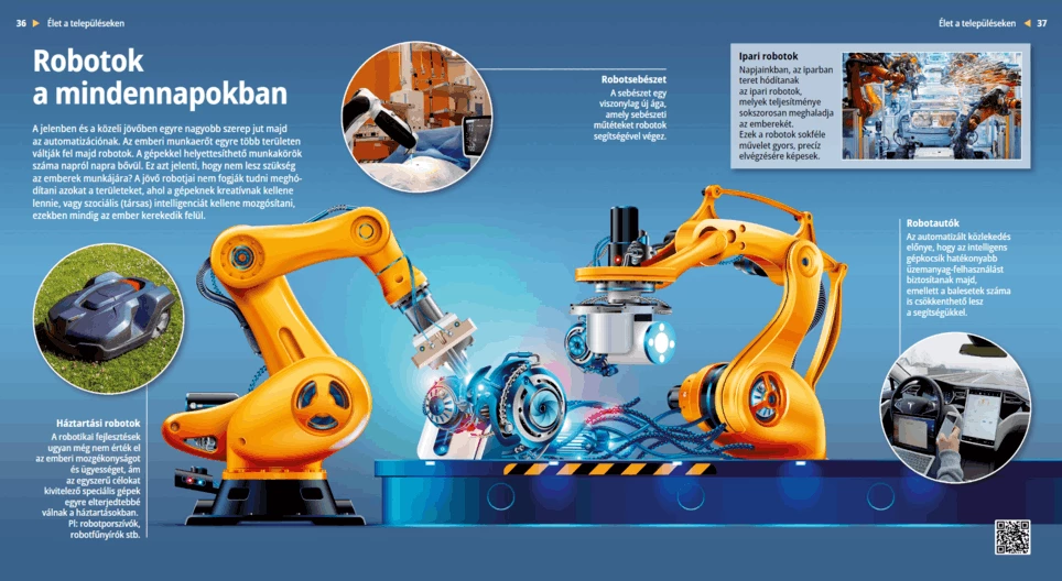 Robots in Our Lives
