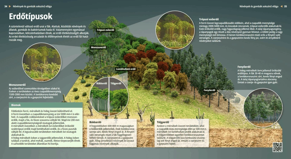 Types of Forests