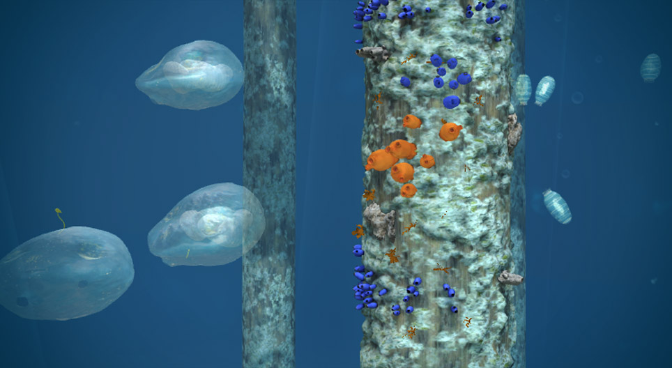 Tunicates