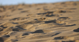 Roca sedimentaria